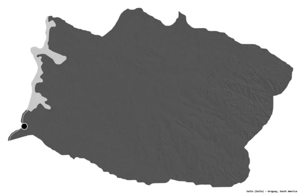 ウルグアイ省のサルトの形で 首都は白い背景に孤立しています 標高マップ 3Dレンダリング — ストック写真