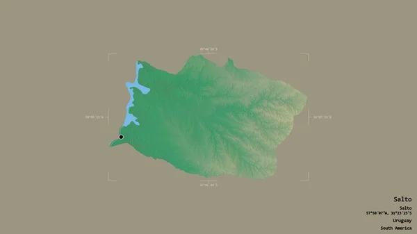 乌拉圭省萨尔托的一个区域 在一个地理参考方块中被坚实的背景隔离 地形浮雕图 3D渲染 — 图库照片