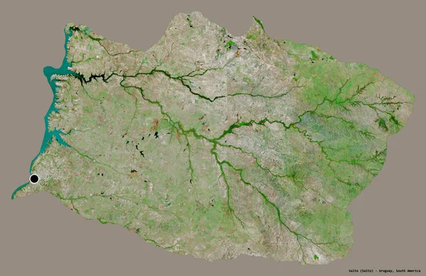 ウルグアイ省のサルトの形は その首都がしっかりとした色の背景に隔離されています 衛星画像 3Dレンダリング — ストック写真