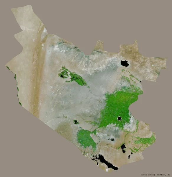 乌兹别克斯坦布科罗地区的形状 其首都以纯色背景隔离 卫星图像 3D渲染 — 图库照片