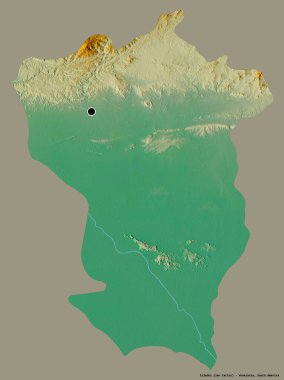 Cojedes 'in şekli, Venezuela eyaleti, başkenti katı renk arka planında izole edilmiş. Topografik yardım haritası. 3B görüntüleme