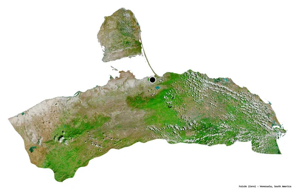ベネズエラの州であるファルコンの形は その首都が白い背景に隔離されています 衛星画像 3Dレンダリング — ストック写真