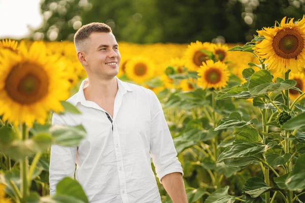 El granjero mayor está de pie y sonriendo en un girasol. Agricu —  Fotos de Stock