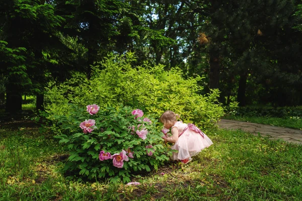 花を嗅ぐ小さな女の子春の咲く茂み — ストック写真