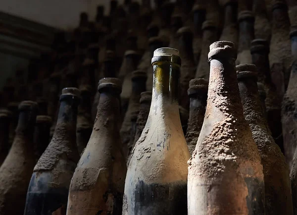 Aged bottles of wine in cellar Stock Image