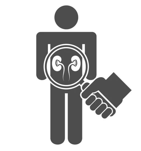 白で隔離された虫眼鏡で男性の姿の腎臓を検査する医師 — ストックベクタ