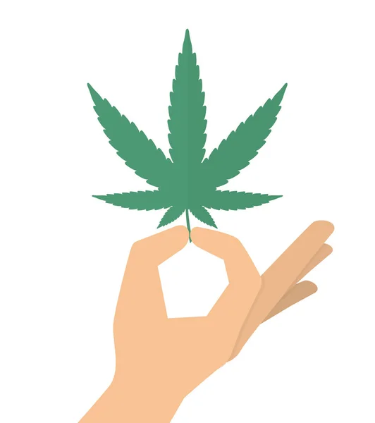 Marihuana ya da esrar yaprak tutan el
