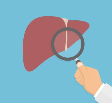 Karaciğer muayene konsepti. El büyüteç ile karaciğer teftiş