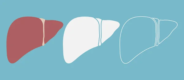 3つの異なるスタイルの肝臓アイコン — ストックベクタ
