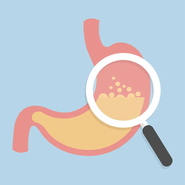 Médecin Inspectant Estomac Avec Loupe Concept Inspection Médicale — Image vectorielle