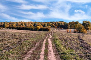  Yol, orman ve bulutlu gökyüzü ile sonbahar manzara