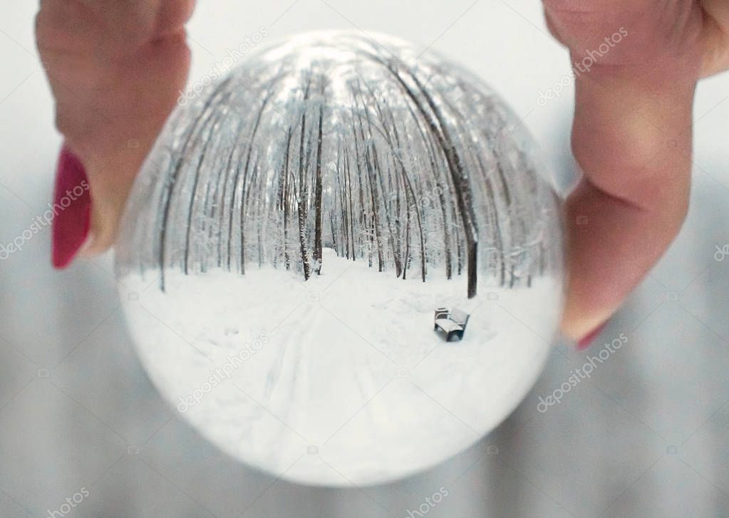 Winter forest with trees and bench through a transparent glass ball 