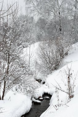Karla kaplı ağaçlar ve nehirlerle kaplı kış manzarası 