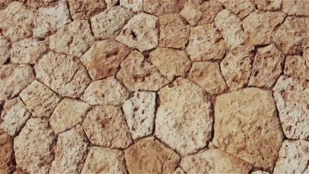 Fond brun naturel de pierres et de pavés — Video