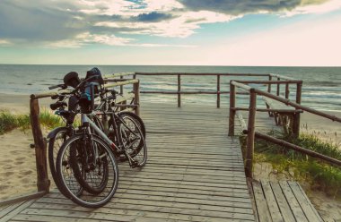 güzel taze dekoratif gül yakın çekim. gül ve gül birkaç çiçek bir buket.