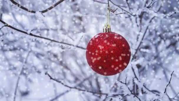 Ljusa röda jul bollen på snö närbild — Stockvideo