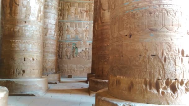 Чудовий інтер'єр храму Дендери або Храму Хатхора. Єгипет, Дендера, стародавній єгипетський храм поблизу міста Кен. — стокове відео