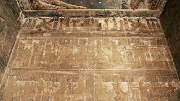 Hermoso interior del templo de Dendera o el Templo de Hathor. Imagen de la antigua diosa del cielo Nuez en el techo del antiguo templo egipcio. Egipto, Dendera, cerca de la ciudad de Ken — Vídeos de Stock