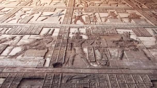 Prachtig interieur van de tempel van Dendera of de tempel van Hathor. Egypte, Dendera, Oude Egyptische tempel nabij de stad Ken. — Stockvideo