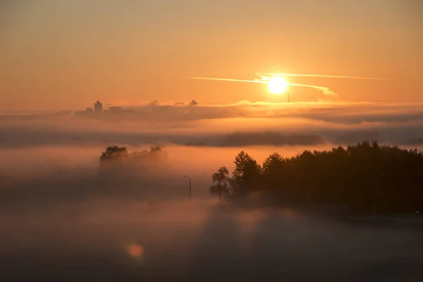 Bright beautiful dawn, the sun rises over the city, the light passes through the fog.