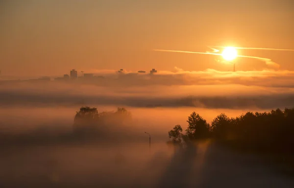 Bright Beautiful Dawn Sun Rises City Light Passes Fog — Stock Photo, Image