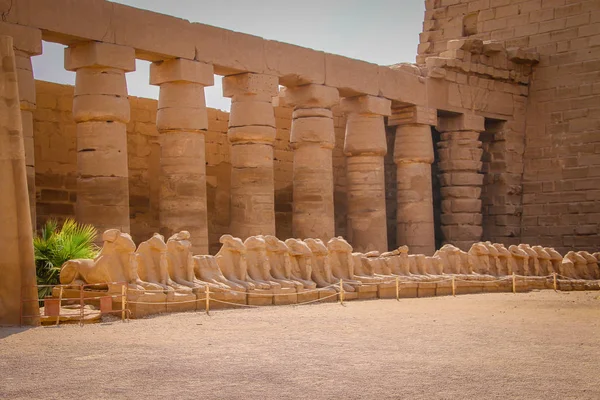Luxor Szép Ősi Templom Romjai Romok Központi Templom Amun — Stock Fotó