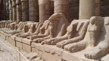 Sfenks heykeli bir ram de kafa ile. Karnak Luxor