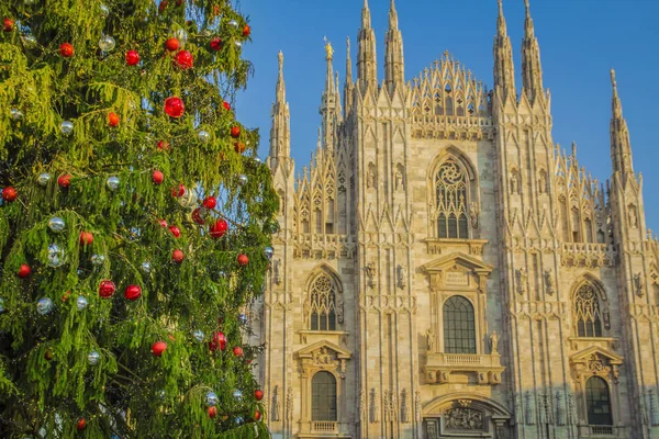 Χριστουγεννιάτικο Δέντρο Διακοπών Κοντά Στο Duomo Στο Μιλάνο — Φωτογραφία Αρχείου