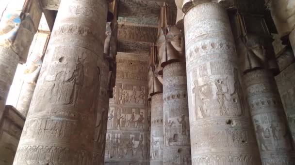 Beautiful interior of the temple of Dendera or the Temple of Hathor. Egypt, Dendera, near the city of Ken. — Stock Video