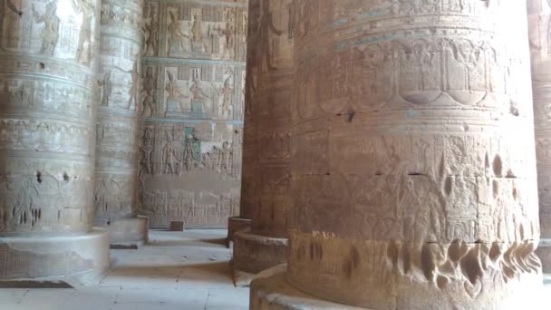 Mooi interieur van de tempel van Dendera of de tempel van Hathor. Egypte, Dendera, in de buurt van de stad van Ken. — Stockvideo