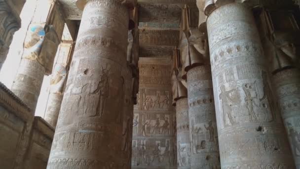 Beautiful interior of the temple of Dendera or the Temple of Hathor. Egypt, Dendera, near the city of Ken. — Stock Video
