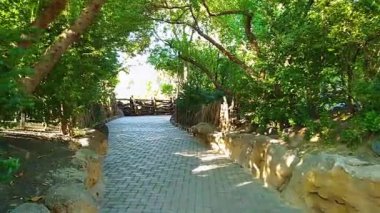 Büyük bir yeşil park içinde döşeli yolu.