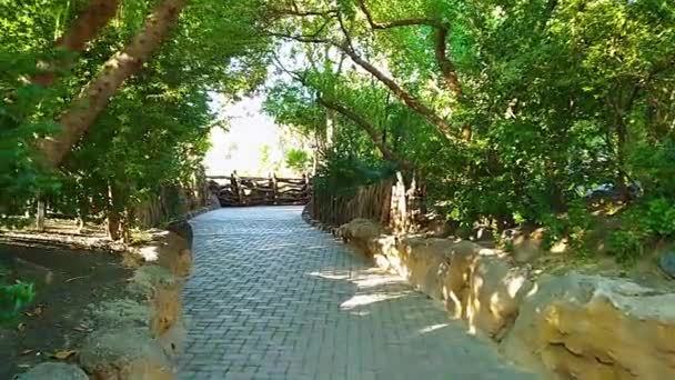 Sentier Pavé Dans Grand Parc Verdoyant — Video