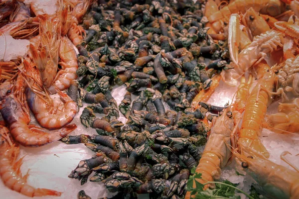 Verse Zeevruchten Garnalen Langoustines Zee Egels — Stockfoto