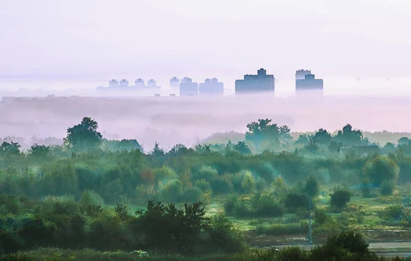 Strahlend schöne Morgendämmerung, Licht geht durch den Nebel — Stockfoto