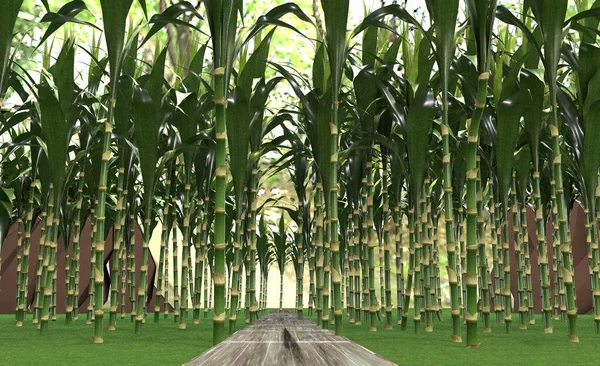 Walk in a beautiful bamboo grove. 3d animation.