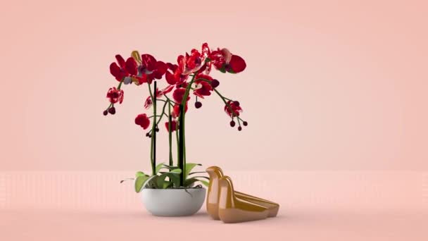 Flores Orquídeas Luxo Design Interiores Renderização — Vídeo de Stock