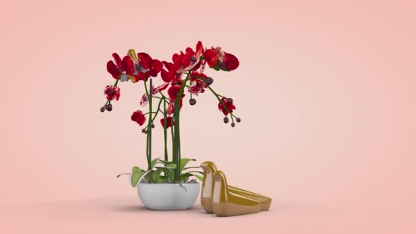 Lyxiga orkidé blommor, inredning, 3D-rendering — Stockvideo