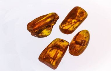 Kehribar parçaları yakın plan. İçinde antika parçaları olan doğal kehribar.