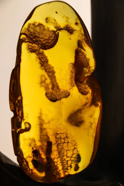 Fragments Amber Close Natural Amber Pieces Antiquities — Stock Photo, Image