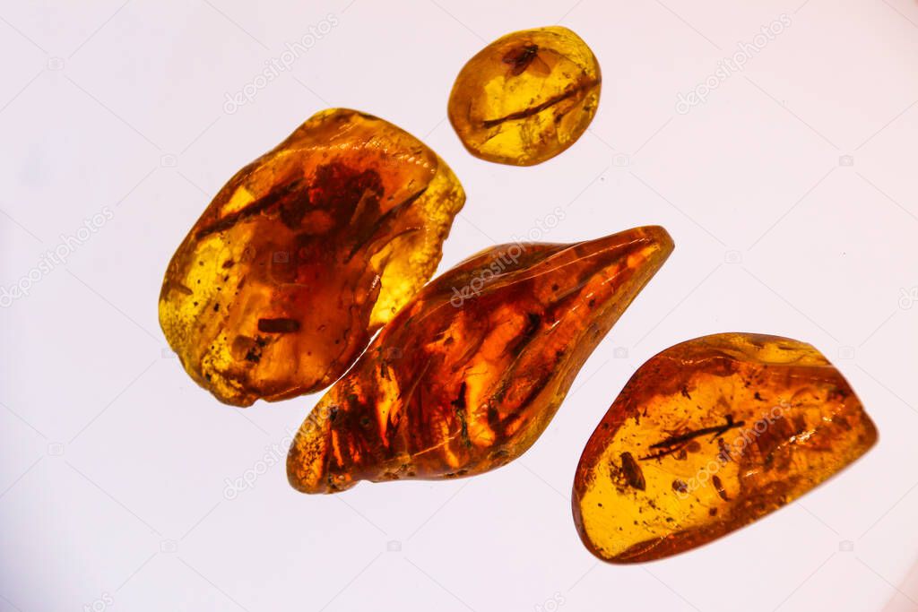 Fragments of amber close-up. Natural amber with pieces of antiquities inside