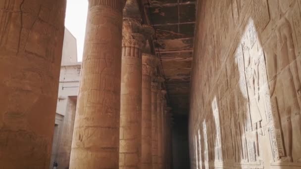 Reruntuhan kuil kuno Horus di Edfu, Mesir — Stok Video