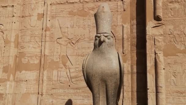 Ruinerna av det antika templet Horus i Edfu, Egypten — Stockvideo