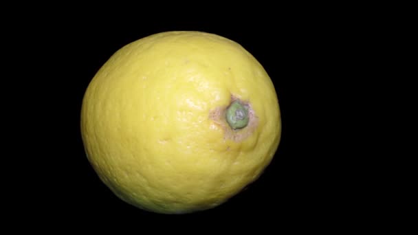 Gul Citron Makro Närbild Svart Bakgrund — Stockvideo