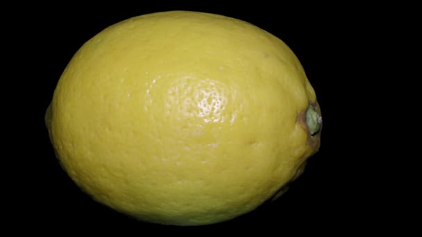 Gul Citron Makro Närbild Svart Bakgrund — Stockvideo