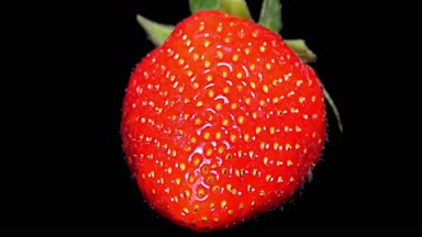 Siyah arka plan üzerinde yakın kadar ayrıntı taze çilek 