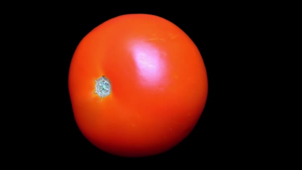黑色背景下的西红柿 — 图库视频影像