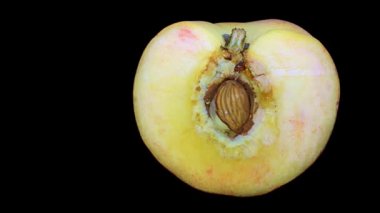 Taze şeftali yakın siyah arka plan üzerinde ayrıntı, kes.