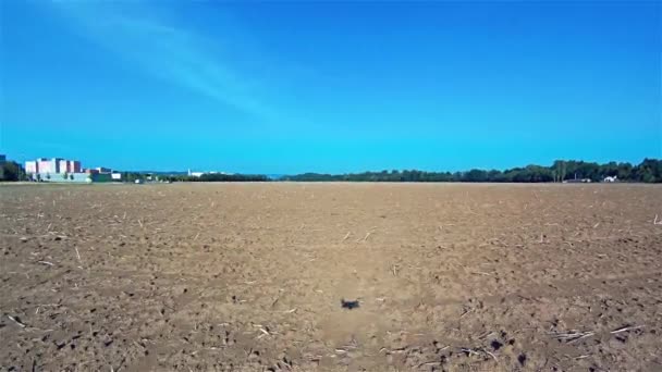 Drone Podczas Startu Lądowania Dron Crash Krajobraz Europa — Wideo stockowe