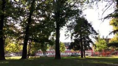 Sonbahar Park, ağaçlar ve otlar